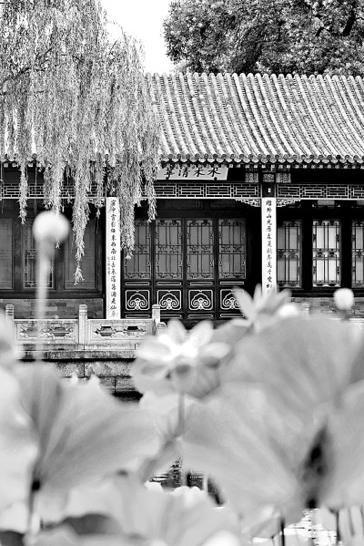 以个性化教育培养科研创造力