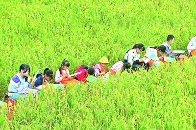 走,去逛逛村里的美术馆 走,去逛逛村里的美术馆
