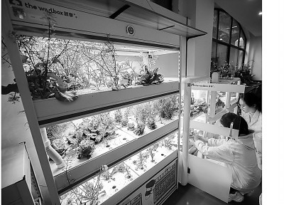 用跨学科项目培养创新思维 用跨学科项目培养创新思维