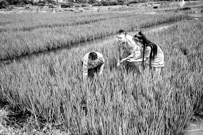点亮乡村孩子的“精神天空” 点亮乡村孩子的“精神天空”