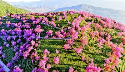 【大美中国】缤纷冬日