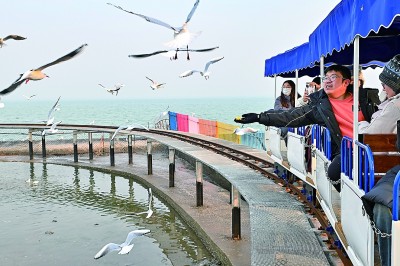【文化中国行】天津滨海新区：河海相汇，鸥影翩跹