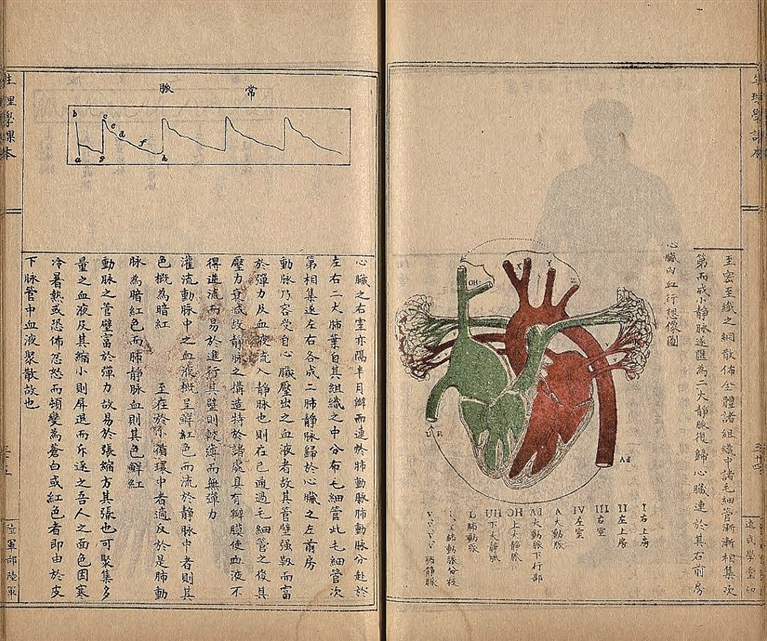 第十一次古籍数字资源联合发布——超16.1万部文献飞上“云端” 第十一次古籍数字资源联合发布——超16.1万部文献飞上“云端”