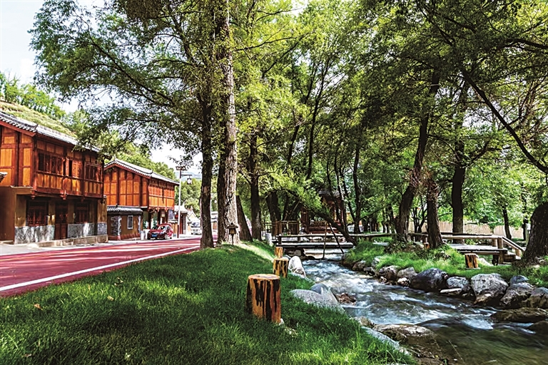 甘肃省甘南州临潭县冶力关镇池沟村：山坳里端起诗意饭碗