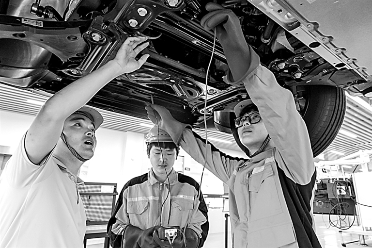 扎根，在职教与城市共生的“产业沃土”