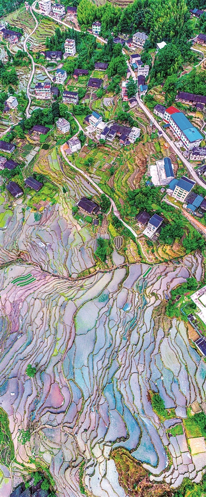 同守碧水青山 赓续生态文脉——生态文化交流为两岸融合发展注入新动力 同守碧水青山 赓续生态文脉——生态文化交流为两岸融合发展注入新动力