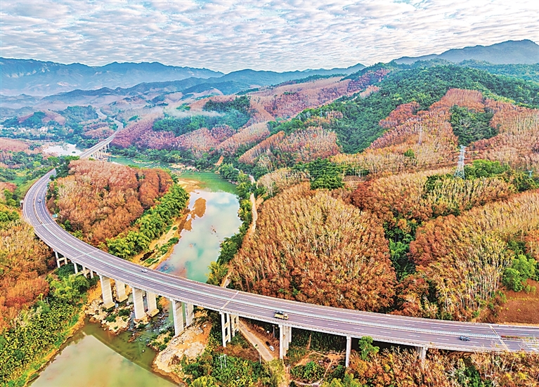 【大美中国】胶林红叶