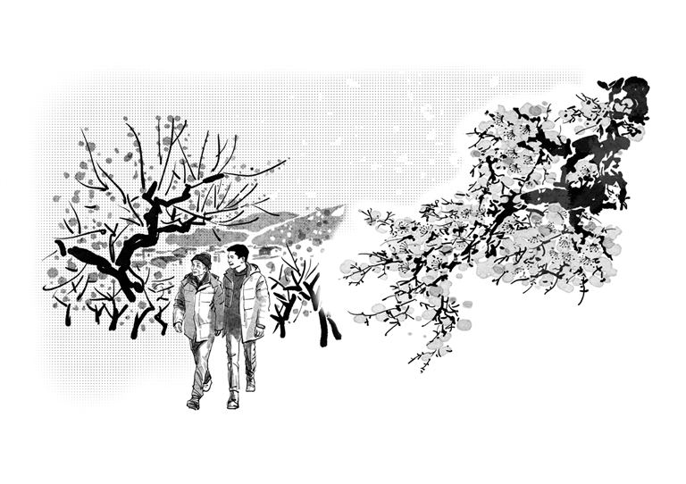 梅花老屋(小说) 梅花老屋(小说)
