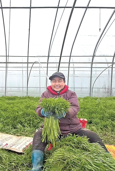 江苏省南京市栖霞区八卦洲街道外沙村:阿婆议事,议出发展金花花 江苏省南京市栖霞区八卦洲街道外沙村:阿婆议事,议出发展金花花