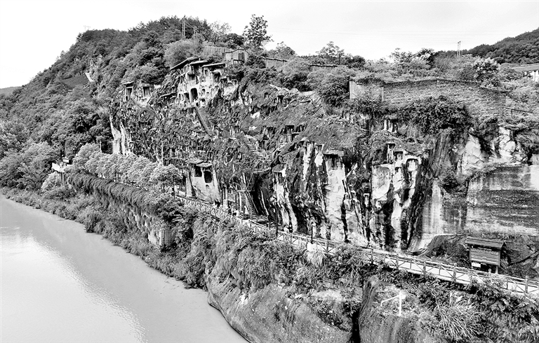 翠云廊:把古树名木保护好 翠云廊:把古树名木保护好