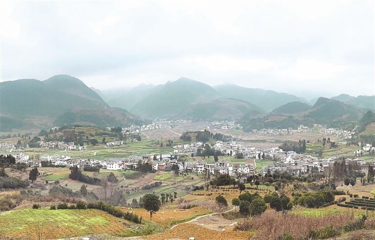 【新春走基层·走进贵州】楠木村:科技撑起千亩梨园 【新春走基层·走进贵州】楠木村:科技撑起千亩梨园