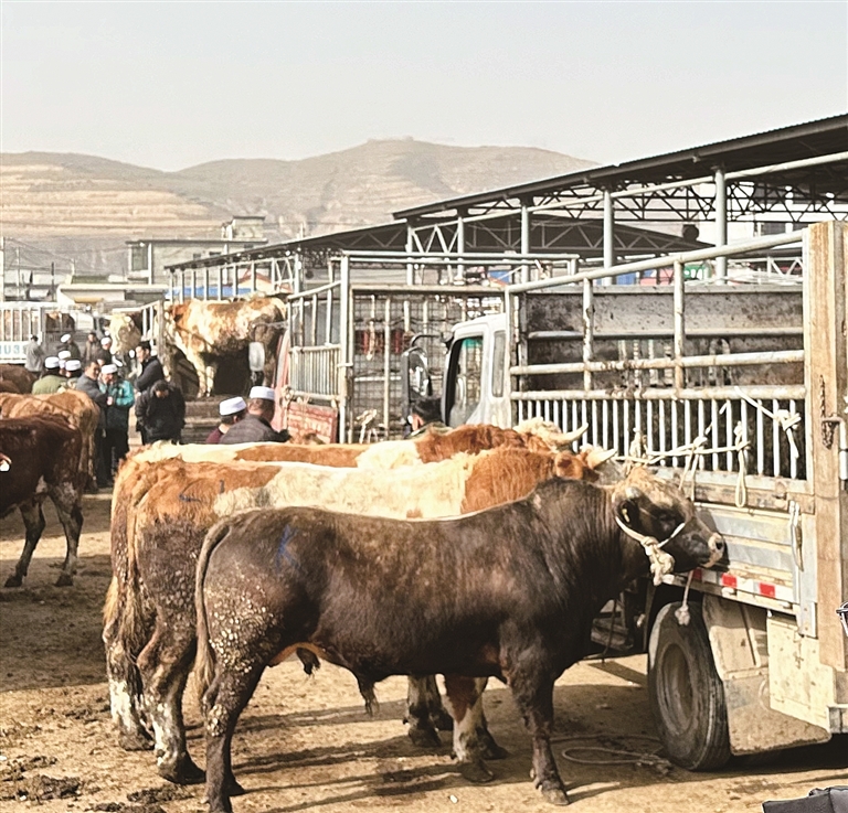 【新春走基层·走进西海固】单南村：民族团结情谊长