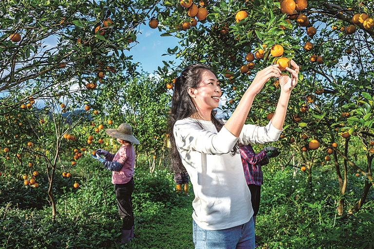 看，新春那些新变化