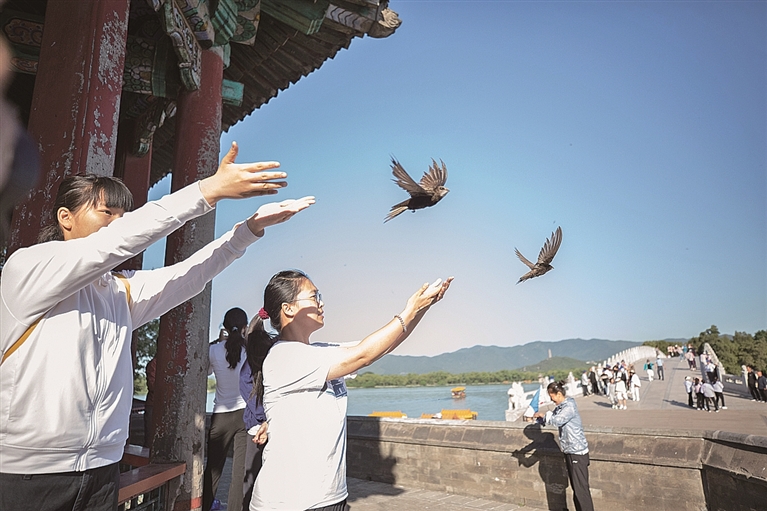 守护飞鸟，你我皆是同路人