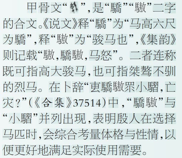 “因物取象 以用定名”——甲骨文中马的种类与命名