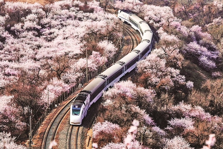 【大美中国】穿行春光中