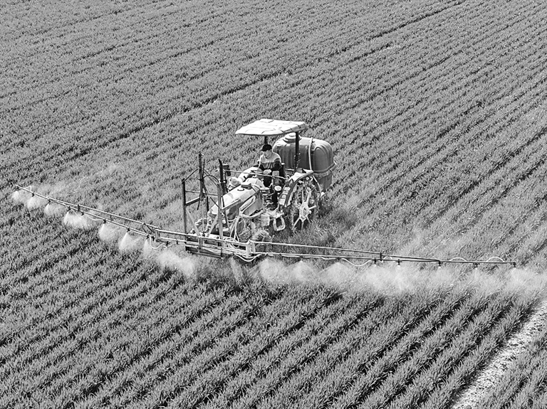 春风和煦耕作忙