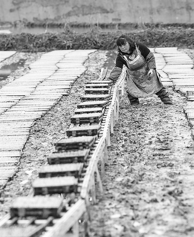 新农人春耕忙 新农人春耕忙