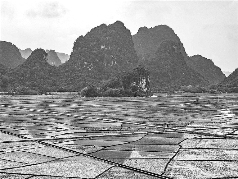 沃野绘新景