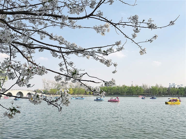 春花醉游人