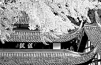 我即旅途——评《世纪漫游：我的地理学术历程》