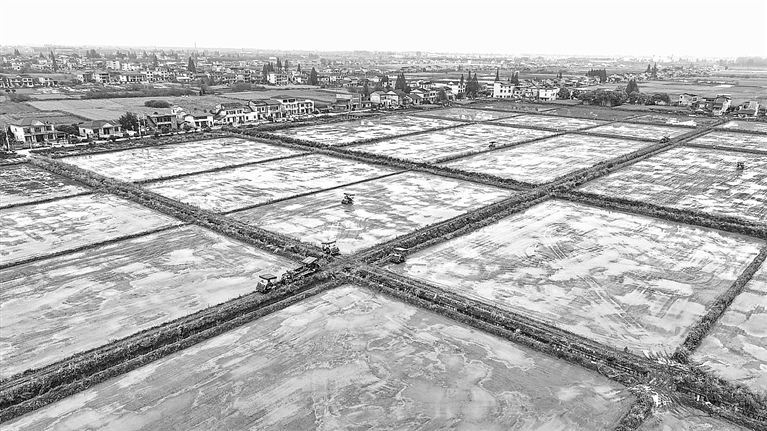 无人驾驶农机助力洞庭湖畔春耕作业