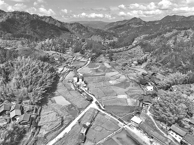 和美乡村 春意盎然