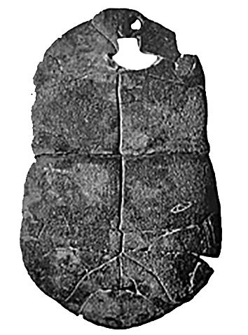 汉字文明的基因与通途——从《甲骨造就的汉字文明》说开去