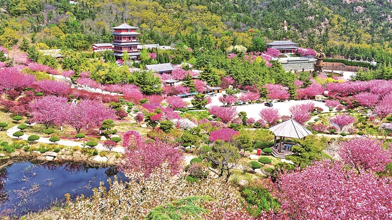 【大美中国】春光满目