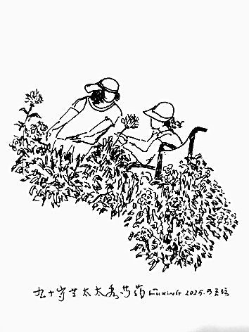 【边写边画】天坛笔记 【边写边画】天坛笔记