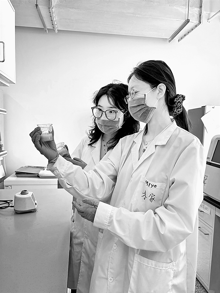 北京工商大学蛋白质资源挖掘与利用团队:争当研制“未来食品”的生力军 北京工商大学蛋白质资源挖掘与利用团队:争当研制“未来食品”的生力军