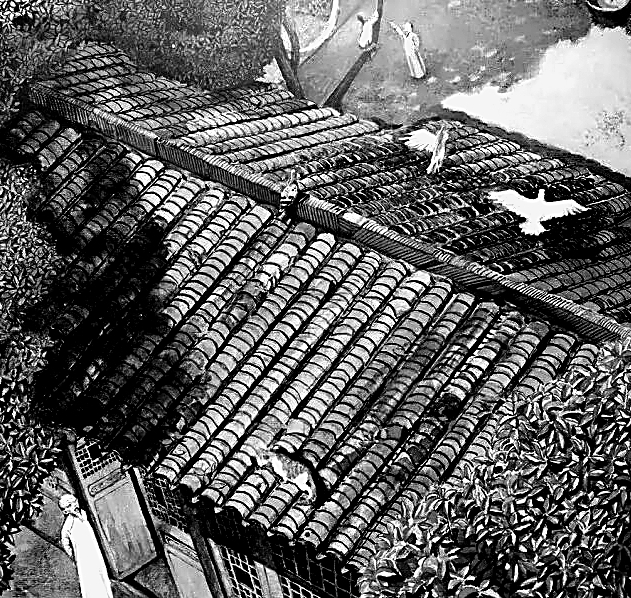 数智时代守护散文的生命感 数智时代守护散文的生命感