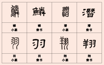 鳞潜羽翔