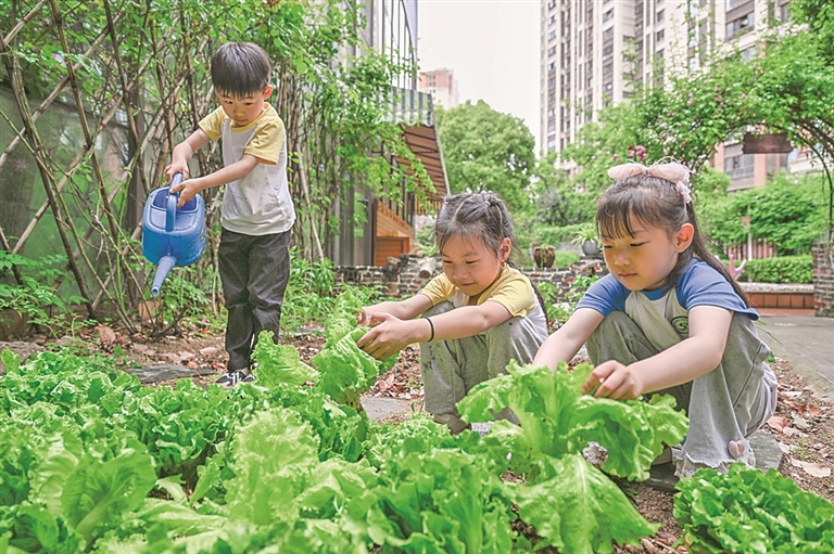 图片新闻