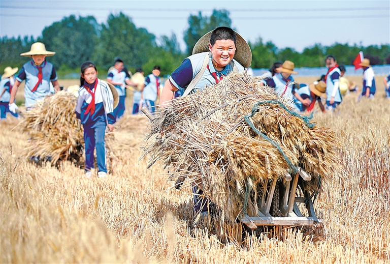如何让孩子们更好直面未来——对我国职业启蒙教育现状的调查与思考 如何让孩子们更好直面未来——对我国职业启蒙教育现状的调查与思考