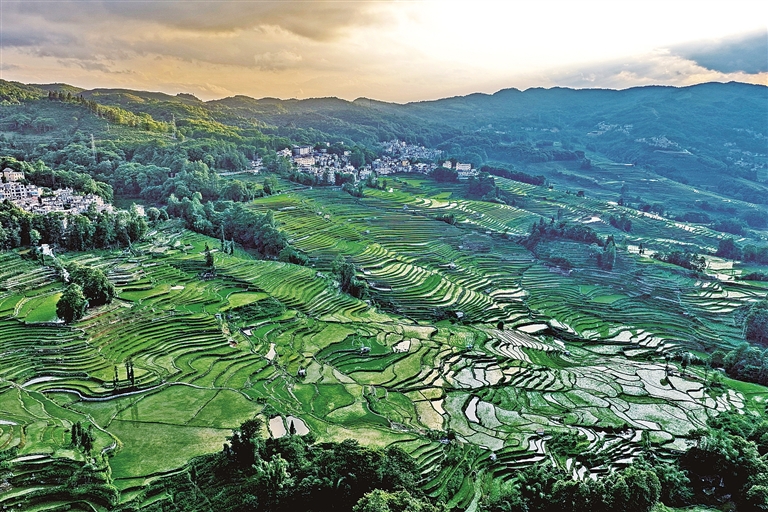 【大美中国】壮美梯田