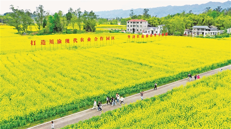 巴山蜀水起新声——成渝地区双城经济圈协同发展调研 巴山蜀水起新声——成渝地区双城经济圈协同发展调研