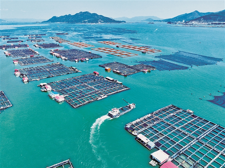 “向海问药”,前景几何? “向海问药”,前景几何?