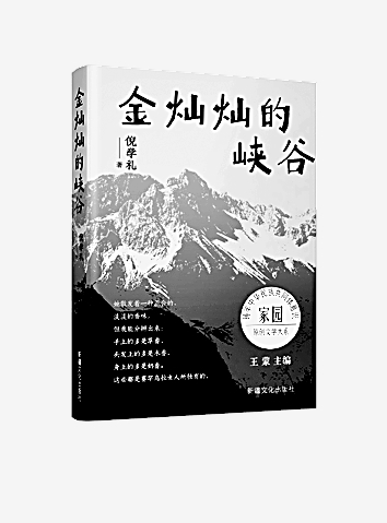 舒缓的叙事见深情
