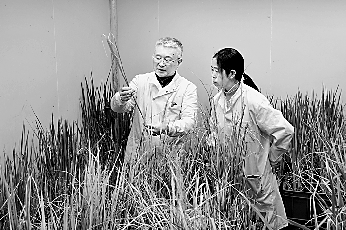 数据成为论文:重新定义“科学成果”——对话中国科学院院士于贵瑞 数据成为论文:重新定义“科学成果”——对话中国科学院院士于贵瑞