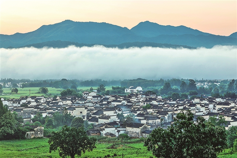 【观察】走进乡野,寻觅诗和远方 【观察】走进乡野,寻觅诗和远方