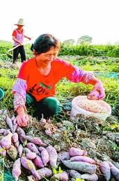 从温饱迈向全面小康的跨越