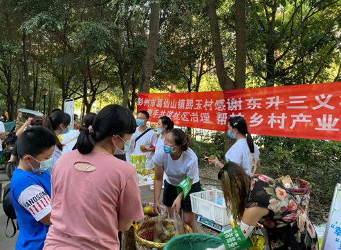 四川彭州千亩滞销酥梨找到新出路