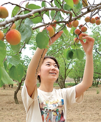 宁夏固原市原州区河川乡寨洼村：山洼披锦 花果飘香富农家