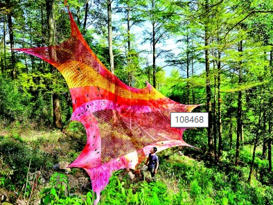 现代艺术与古老村庄的相拥——艺术乡建中的青年人 现代艺术与古老村庄的相拥——艺术乡建中的青年人