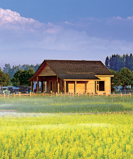 山东省临沂市兰陵县卞庄街道代村:农企联动 搭建连心桥 山东省临沂市兰陵县卞庄街道代村:农企联动 搭建连心桥