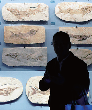 这里汇聚了大自然亿万年神奇造化 这里汇聚了大自然亿万年神奇造化