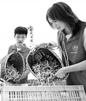 行走的思政课,让青春融入火热发展实践 行走的思政课,让青春融入火热发展实践