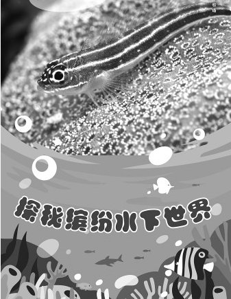 海洋牧场，在海底“放牧”