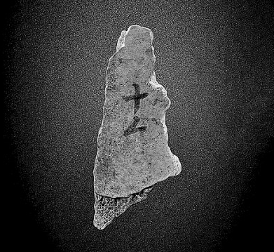 南开大学博物馆：甲骨